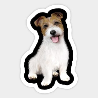 Jack Russell Terrier (shaggy) - Just the Dog Sticker